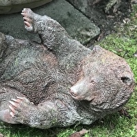 佐久間 昇吾